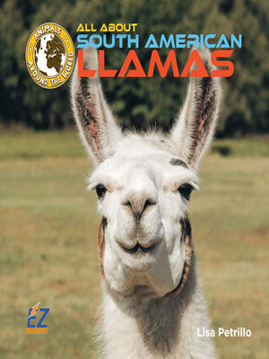 cover image of All About South American Llamas